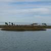 Lake island, with residence in background.